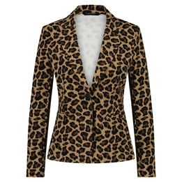 Overview image: Blazer Billy